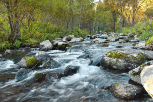 Rapids on River